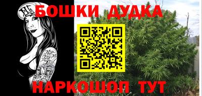 крисы Владикавказ