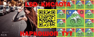 СК Боровичи