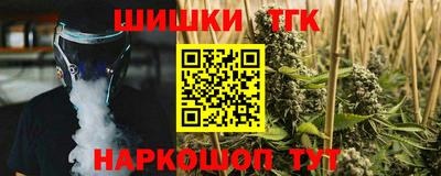 СК Боровичи