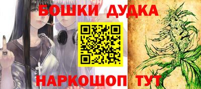 СК Боровичи