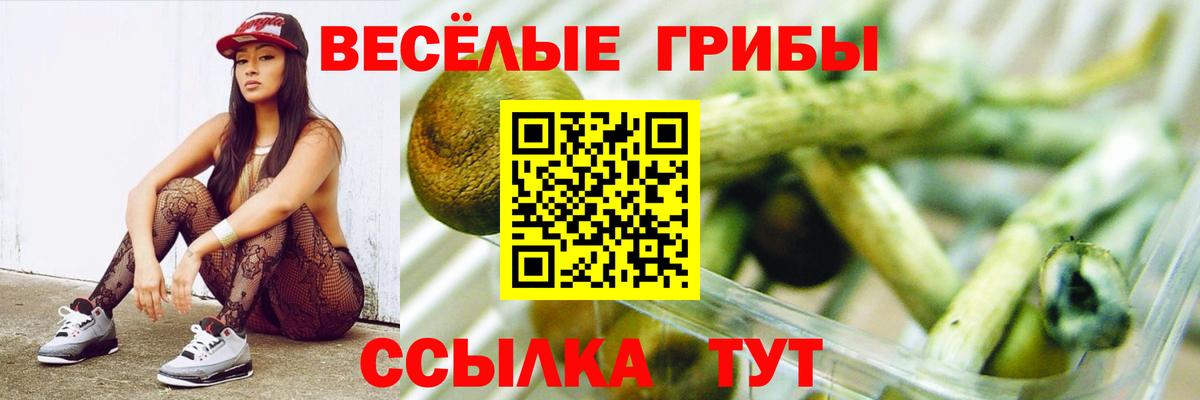 Осинники  Галлюциногенные грибы прущие грибы  Вход с VPN 